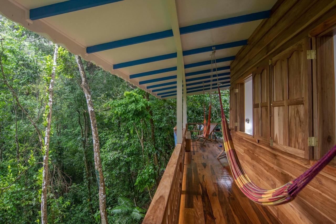 Blue Maverick Retreat - Secluded Nature Escape - 4Wd Access Required Cocles Extérieur photo