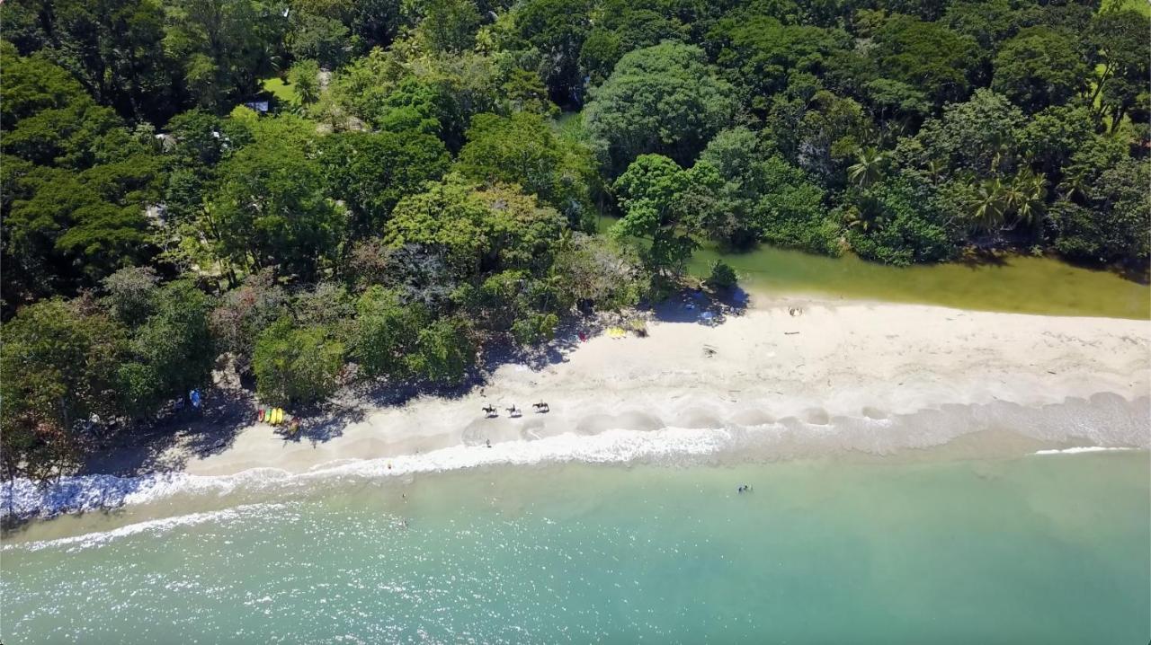 Blue Maverick Retreat - Secluded Nature Escape - 4Wd Access Required Cocles Extérieur photo